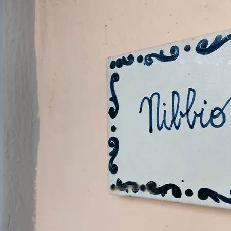 Universal Harmony - Nibbio * Dicomano